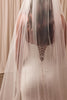 Lace wedding dress and veil